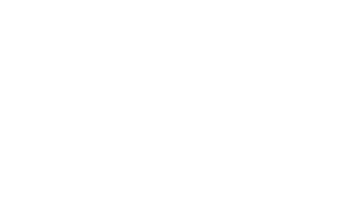logo-xe-diena-36