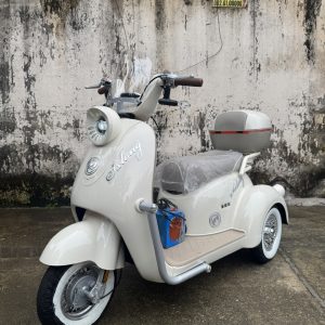SXLONG MINI Cổ điển – Xe điện 3 bánh 600W, 5 bình 48V30Ah, tải trọng 250kg
