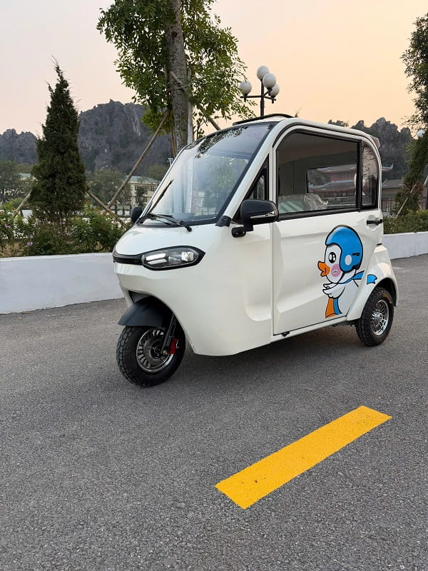 Xe Điện Ba Bánh Cũ Mới Giá Rẻ Nhất Thị Trường Hiện Nay